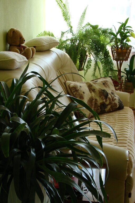 Simple Tips for Creating a Cozy and Inviting Living Space on a Budget